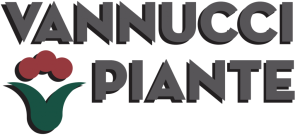 logo-1024x463